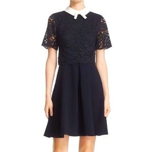 Ted Baker Dixxy Dress